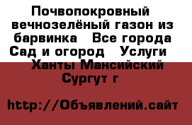 Почвопокровный, вечнозелёный газон из барвинка - Все города Сад и огород » Услуги   . Ханты-Мансийский,Сургут г.